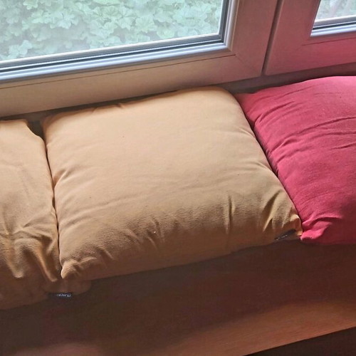 Set of 3 small decorative pillows like new, yellow and red