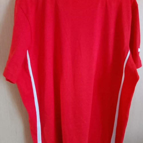 Puma Olympiacos Training T-Shirt original, size L, like new