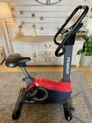 Pegasus Rider exercise bike like new