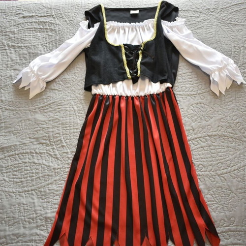 Pirate carnival costume like new, one size women’s