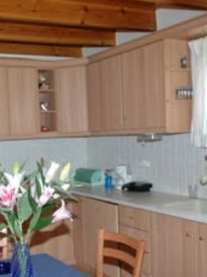 Detached house in Thrakomakedones with garden and fireplace