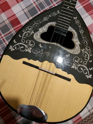 Solist M15 P.A bouzouki used, four-string, white butterfly figure