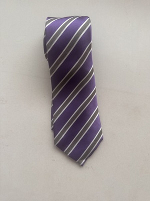 The Bostonians tie, grey and purple