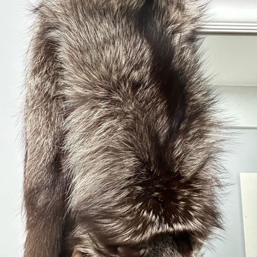 Authentic Vintage Fur / Silver Fox Leather brand new Ideal for home decoration
