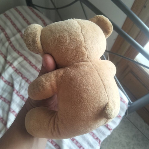 Plush teddy bear in like new condition