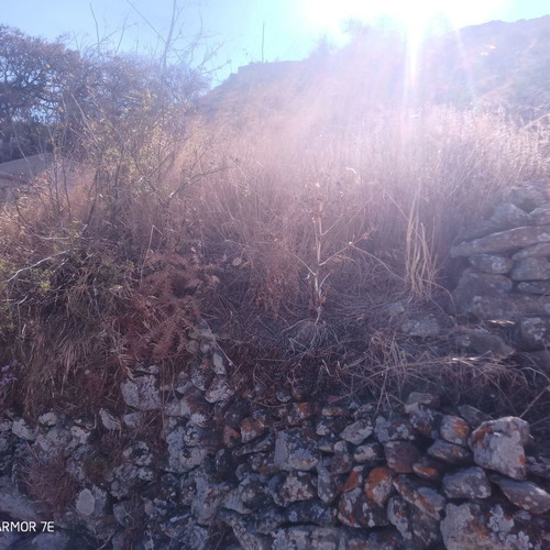 Land 60 m² buildable within settlement in Panagia Serifos with sea view