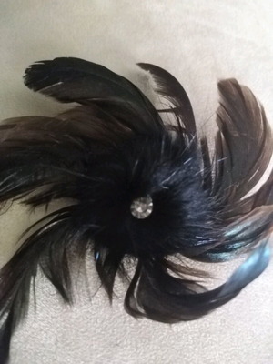 Pin like new with feathers and decorative crystal