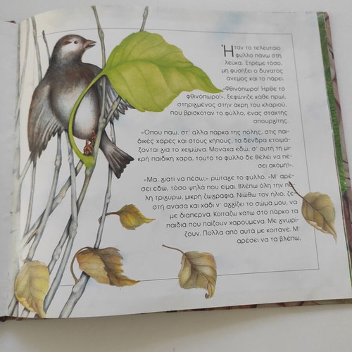 The Leaf That Did Not Want to Fall book like new