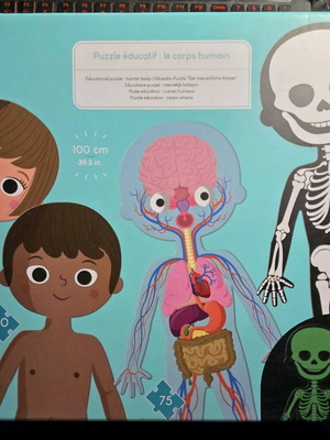 Εκπαιδευτικό παζλ για το ανθρώπινο σώμα σαν καινούργιο