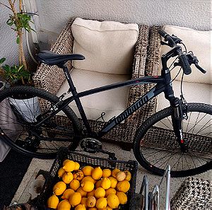 Ποδήλατo Lombardo amantea 100
