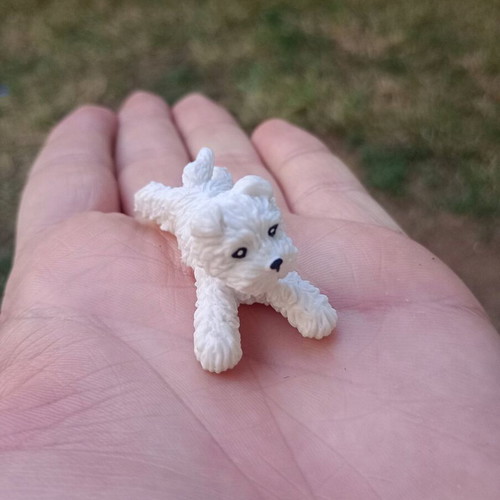 White Terrier miniature used