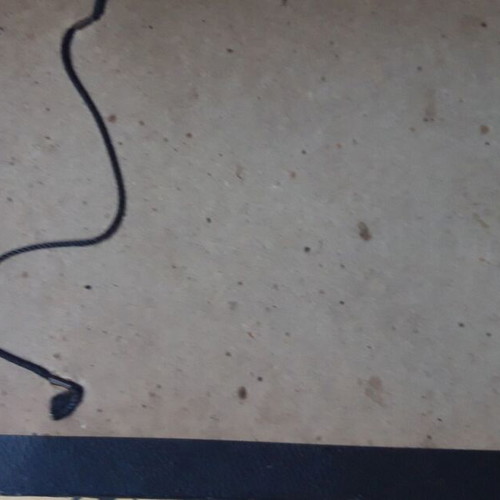 Three original poems used, mystery literary archive in French, Spanish, Italian