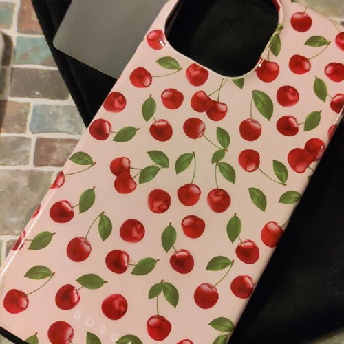 Burga case for iPhone 12pro max used