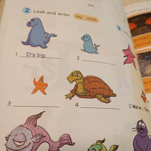 Smart Junior A Workbook new with CD