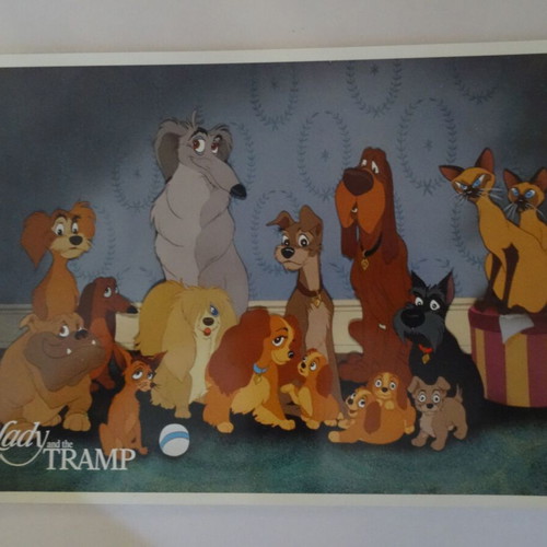 Disney The Lady and the Tramp authentic movie photos set of 6, like new