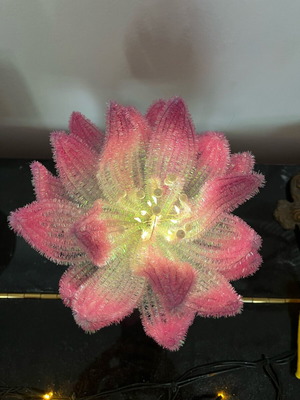 Pink Water Lily No.2 New Lamp with Magical Golden Light