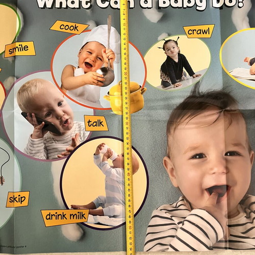 15 Double-Sided English Educational Posters