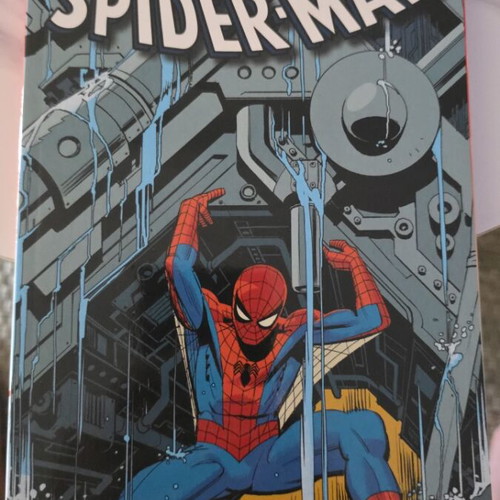 Mighty Marvel Masterworks The Amazing Spider-Man Vol. 4 TPB like new