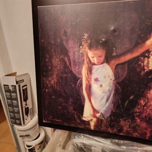 Bizart painting used with fairy girl