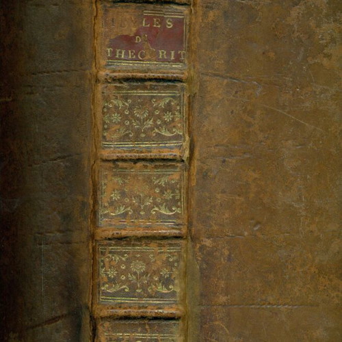 Idyllia tou Theokritou leather-bound book used, Paris 1795, 2 volumes in 1
