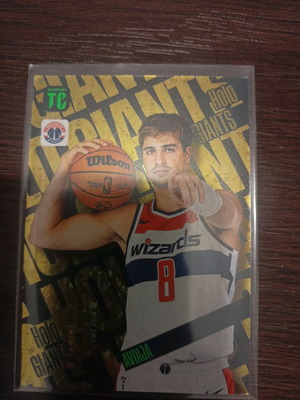 Nba Top Class Holo Giant Avdija new