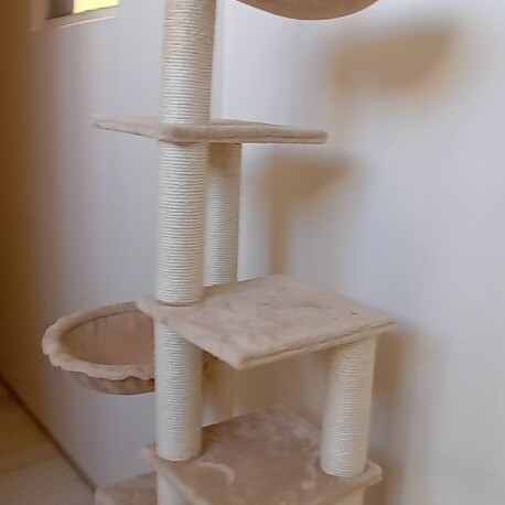 Cat scratching tree like new, 7 levels