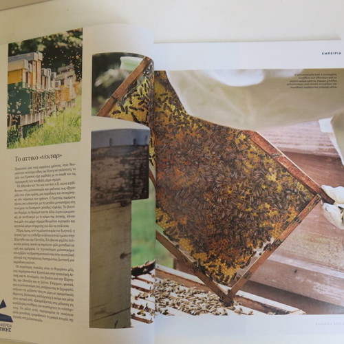Greek Cuisine magazine issue 17 used, March 2025