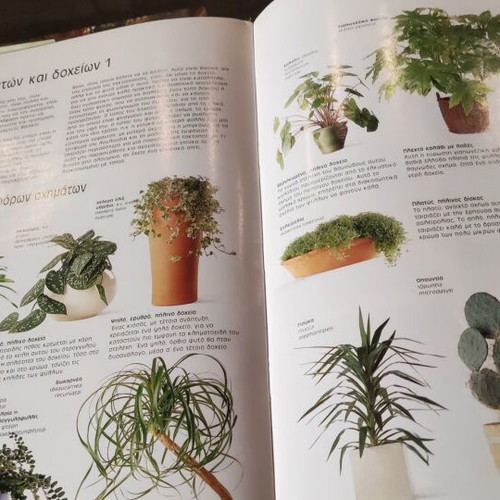 Books like new 2 pcs Gardens for Yard and Veranda, Indoor Gardens by John Brookes