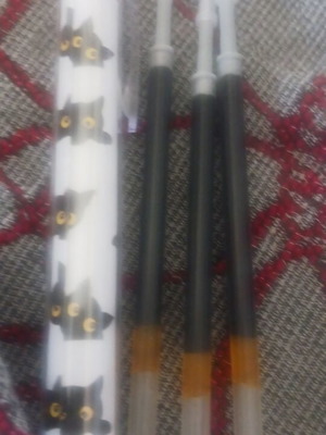 White pen with black cats and 4 ink refills