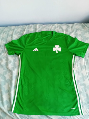 Panathinaikos Football Training Jersey Adidas 2024 Like New