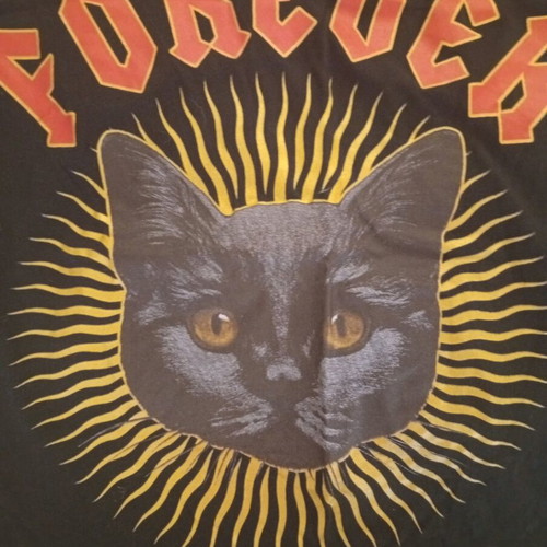 Classy Clothing "Forever" T-shirt with black cat, like new