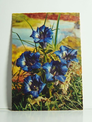Postcards used, pack of 4 assorted