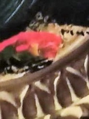 Signed painting flowers in vase like new with handmade carved frame
