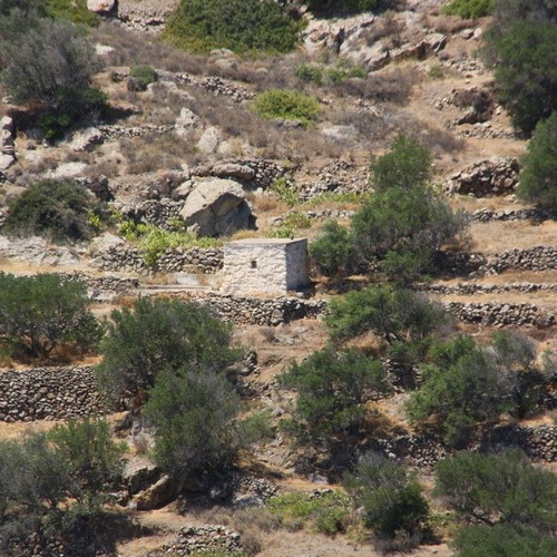 Agricultural land 2,370 m² with 21 olive trees, out of plan, mountain view in Elaionas