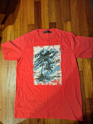 The Boston Ian's T-shirt in very good condition, size M