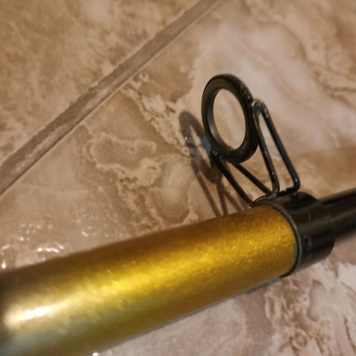 Zebco Praktica DX-60 Fishing Rod, 40-60