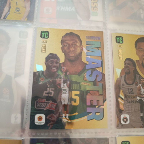 Panini Euro League Top Class 2025 Album used with 100 cards