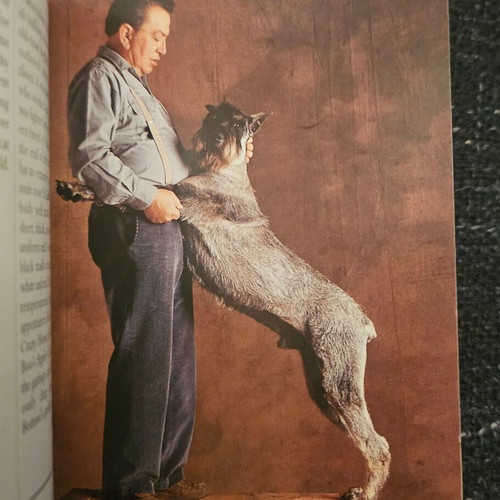 Book with dog breeds like new, small size, in English