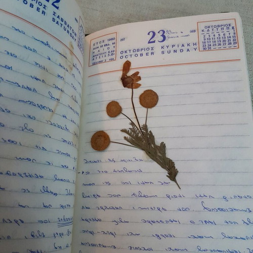 Old 1960 calendar used with dried leaves and flowers