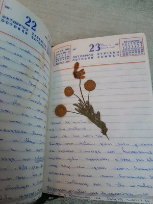 Old 1960 calendar used with dried leaves and flowers