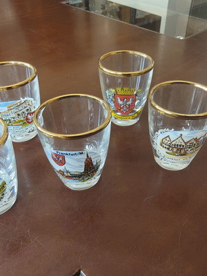 German Collectible Shot Glasses Set of 6 with Gold Rim, Like New