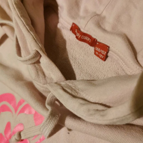 Zara blouses used for girl 11-12 years, 2 long-sleeve and hooded sweatshirt