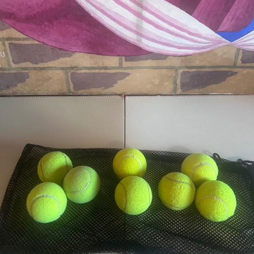 Tennis ball set of 8 with mesh carrying bag, Wilson, Head Pro, Penn