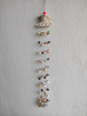 Dreamcatcher made of shells new