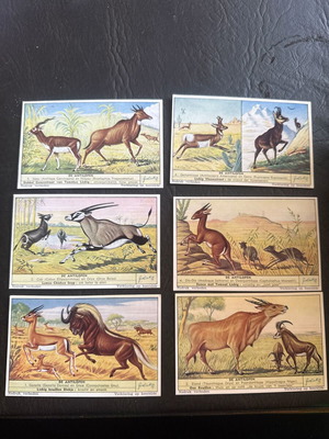 Liebig Vintage Collectible Cards Set of 6 De Antilopen