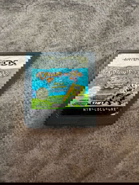 Nintendo DS game