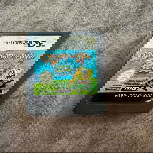 Nintendo DS game