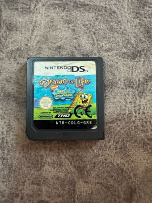 Nintendo DS game