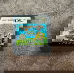 Nintendo DS game