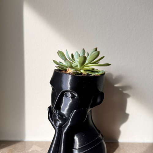 Minimal 3D Printed Face Vase new